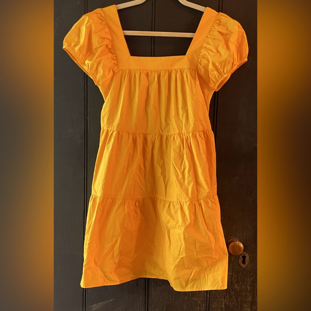 Greylin Lora Poplin dress
